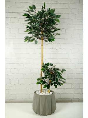 Yapay Çiçek Dekoratif Beton Saksıda Starlight Benjamin Ağacı Bambu Gövdeli Salon Ev Bitki 105 cm