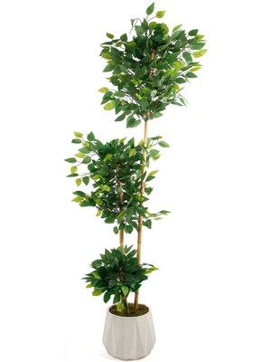 Beton Saksıda El Yapımı Bambu Gövdeli Yapay Benjamin Ağacı