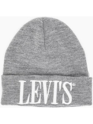 Serif Logo Gri Bere