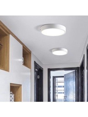 Cata Ct 5273 LED Spot 30W 6400K Beyaz Işık