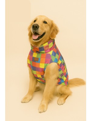 Zen Dog Gökkuşağı Desenli Fileli Köpek Yeleği ve Montu