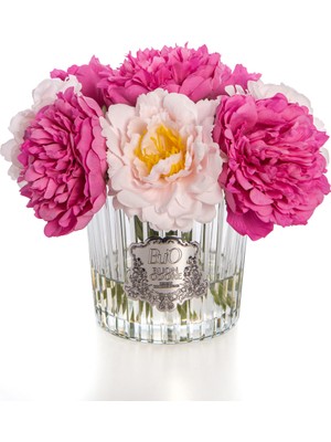 Ingiliz Şakayık Sılver Fuşya Arajman