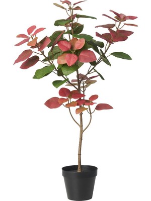 Yapay Bitki, Pembe-Yeşil, 12 Cm, Duman Ağacı