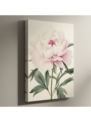 Zarif Pembe Şakayık Çiçeği Botanik Illüstrasyon Tablosu