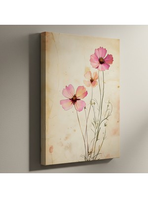 Vintage Pembe Kozmos Çiçekleri Botanik Illüstrasyon Tablosu
