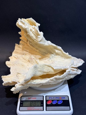 Mercan Koleksiyon Doğaltaş