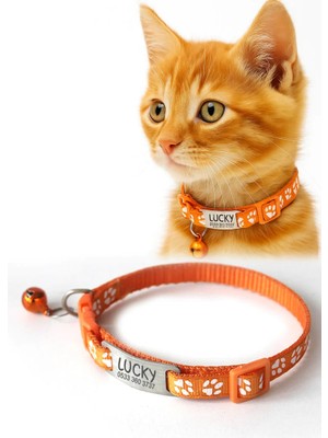 Dekoliva Sallanmayan Kedi Tasması Metal Isimlikli İsimli Kedi Tasması