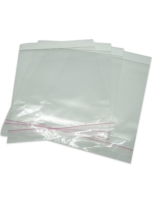 16*25 Sedefli Askılı (Askı Kısmı Beyaz) Bantlı OPP (Parlak-Şeffaf) Jelatin 100 Adet