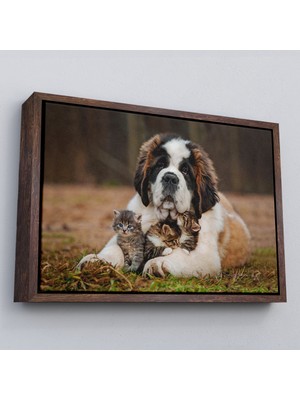 Çerçeveli St. Bernard Köpek ve Yavru Kediler Dekoratif Kanvas TABLO-1124