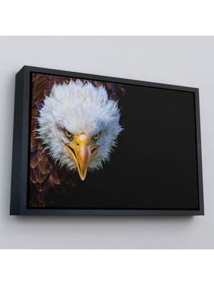 Çerçeveli Kartal Dekoratif Kanvas TABLO-1132