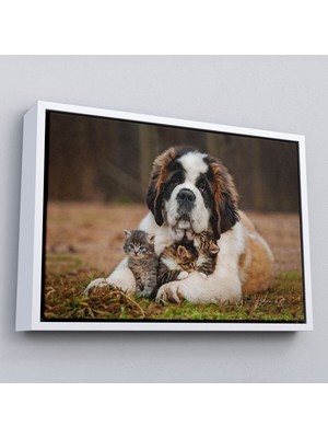 Çerçeveli St. Bernard Köpek ve Yavru Kediler Dekoratif Kanvas TABLO-1124
