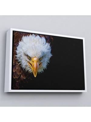 Çerçeveli Kartal Dekoratif Kanvas TABLO-1132