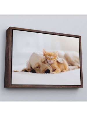 Çerçeveli Golden Köpek Ile Uyuyan Yavru Kedi Dekoratif Kanvas TABLO-1176