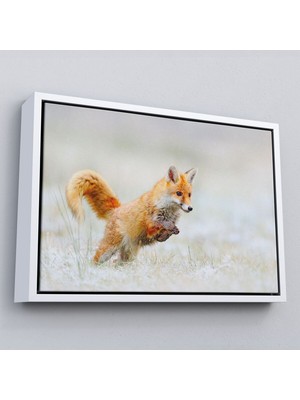 Çerçeveli Tilki Dekoratif Kanvas TABLO-1165