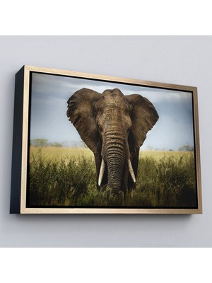 Çerçeveli Fil Dekoratif Kanvas TABLO-1121