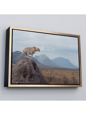 Çerçeveli Leopar Dekoratif Kanvas Tablo -1127