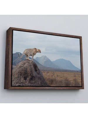 Çerçeveli Leopar Dekoratif Kanvas Tablo -1127