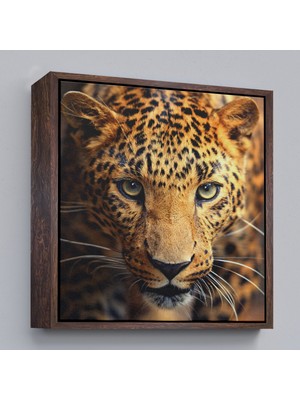 Çerçeveli Leopar Dekoratif Kanvas TABLO-5811