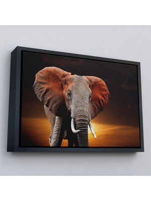 Çerçeveli Fil Dekoratif Kanvas TABLO-1167