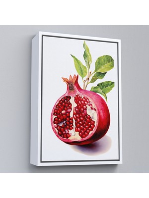 Çerçeveli Nar TABLOSU-7646