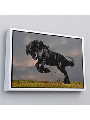 Çerçeveli Şaha Kalkmış Siyah At TABLOSU-6620