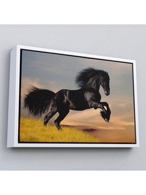 Çerçeveli Şaha Kalkmış Siyah At TABLOSU-6613