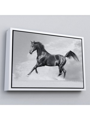 Çerçeveli Siyah At TABLOSU-6623