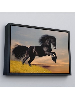 Çerçeveli Şaha Kalkmış Siyah At TABLOSU-6613