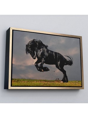 Çerçeveli Şaha Kalkmış Siyah At TABLOSU-6620