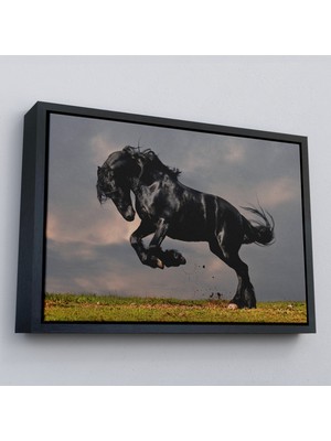 Çerçeveli Şaha Kalkmış Siyah At TABLOSU-6620