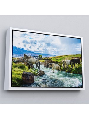 Çerçeveli Dereden Geçen Atlar Manzaralı Dekoratif Kanvas TABLO-1169