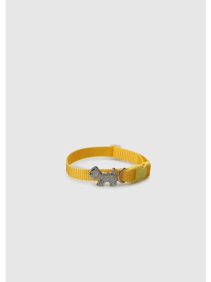 Sarı  Provoq T1052 Sarı Incetasma Kedi