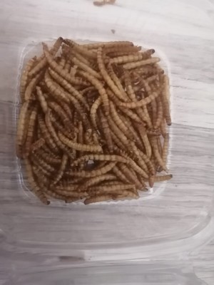 Koçlar Kurutulmuş Balık Yemi 100 Adet