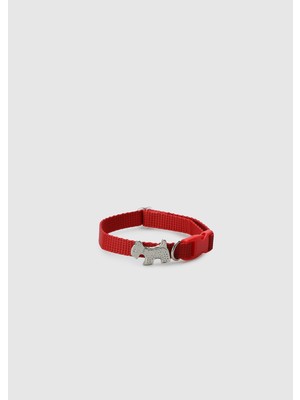 Kırmızı  Provoq T1051 Kırmızı Incetasma Kedi