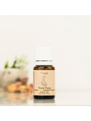 Aromatika Ylang Ylang Buhurdanlık Kokusu