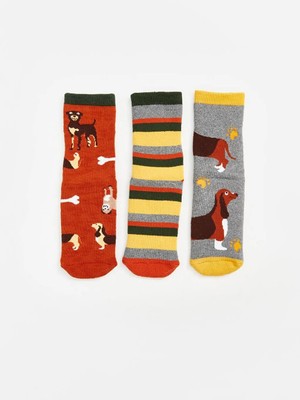 Desenli Erkek Çocuk Havlu Soket Çorap 3'lü  (W5)