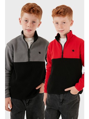 Lela Yumuşak Dokulu Yarım Fermuarlı Renk Bloklu Dik Yaka 2'li Paket Polar Çocuk Polar 5905004S2