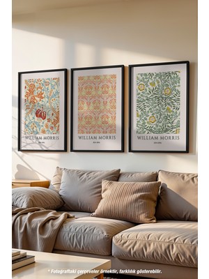 Dekoratif Morris 3'lü Siyah Çerçeveli Poster, Tablo Seti No:46