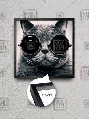 Siyah Gözlük Sevimli Kedi Siyah Beyaz Hayvan Dekor Çerçeveli Kare Kanvas Tablo