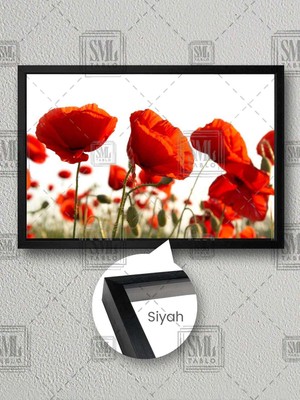 Kırmızı Gelincik Çiçeği Tarlası Doğa Manzara Çiçek Çerçeveli Yatay Kanvas Tablo