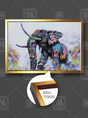 Renkli Grafitti Fil Afrika Sokak Sanatı Banksy Çerçeveli Yatay Kanvas Tablo
