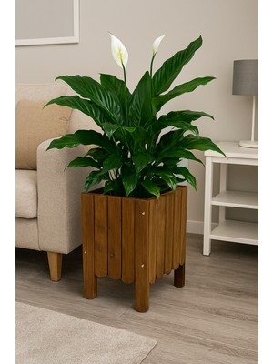 Saksı Ahşap Saksı Çiçeklik Dış Mekan Saksılık