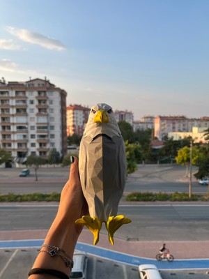 Nibgat Kartal Gece Lambası - Boyalı