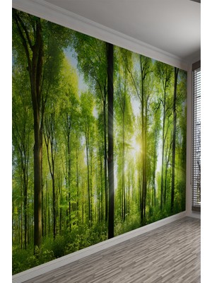 Yeşil Orman Güneş Işığı Manzaralı Tek Parça Duvar Kağıdı
