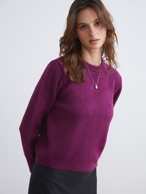 Lc Waikiki Yeni Sezon Bisiklet Yaka Kadın Triko Kazak