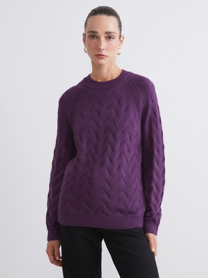 Lc Waikiki Yeni Sezon Bisiklet Yaka Kendinden Desenli Kadın Triko Kazak