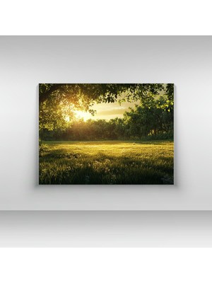 Gün Doğumu Ağaçlar ve Sessizlik - Ahşap Mdf Tablo