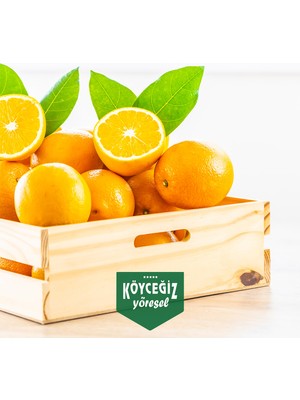 Köyceğiz Yöresel Portakal 4 Kg Doğal ve Lezzetli Meyve Türkiye Menşeli