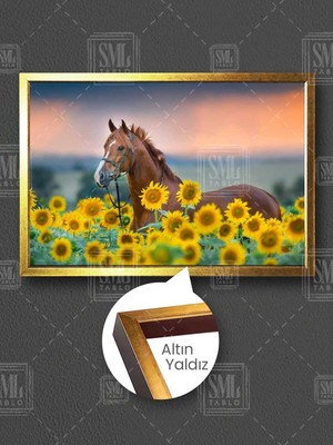 Kahverengi At Ayçiçeği Tarlası Günebakan Gün Batımı Doğa Manzara Çerçeveli Yatay Kanvas Tablo