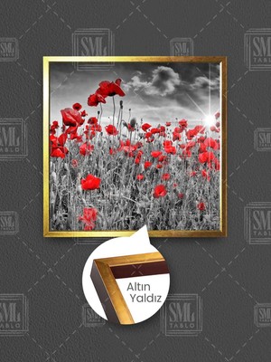 Gün Batımında Siyah Beyaz Gelincik Çiçeği Tarlası Doğa Manzara Çerçeveli Kare Kanvas Tablo